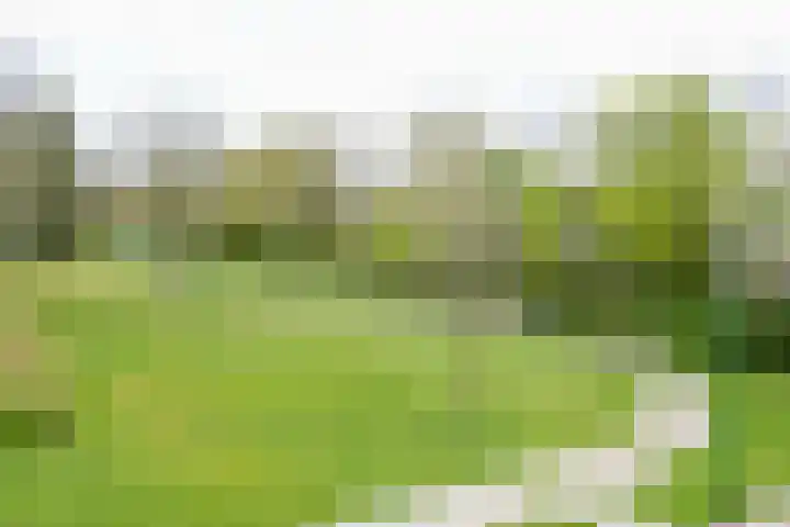 van Goyenlaan 169 Soest thumbnail 22