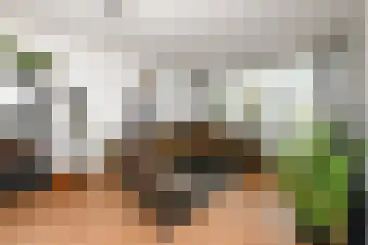 van Goyenlaan 169 Soest thumbnail 5