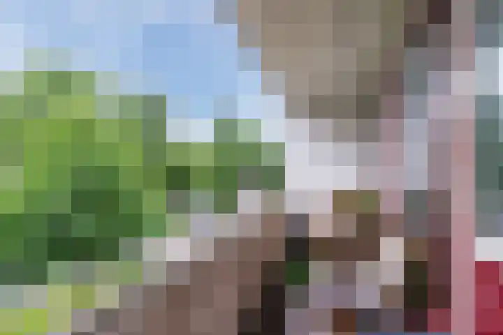 van Goyenlaan 171 Soest thumbnail 14