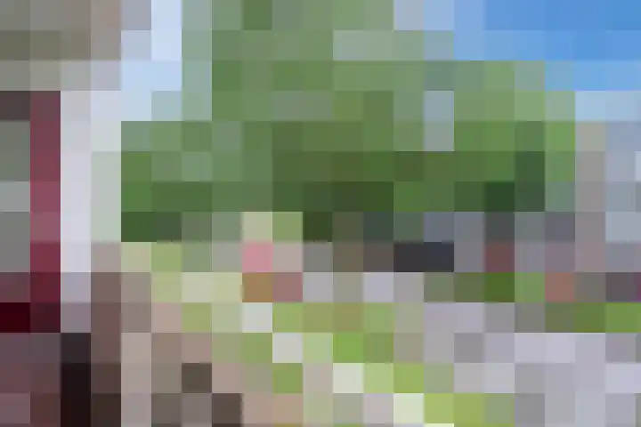 van Goyenlaan 171 Soest thumbnail 15