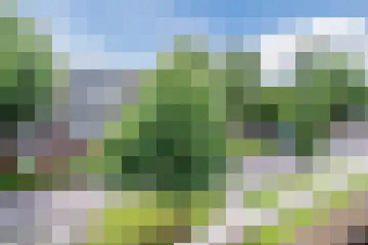 van Goyenlaan 171 Soest thumbnail 16