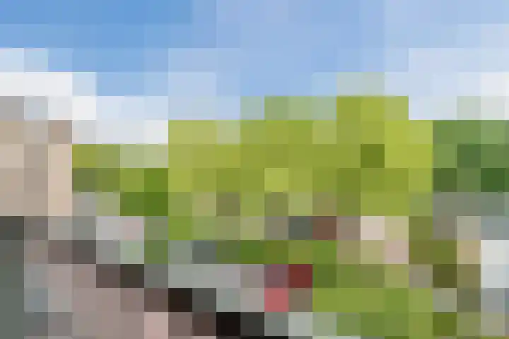 van Goyenlaan 171 Soest thumbnail 17