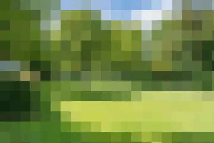 van Goyenlaan 171 Soest thumbnail 23