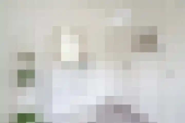 van Goyenlaan 171 Soest thumbnail 9