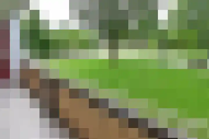 van Goyenlaan 179 Soest thumbnail 4