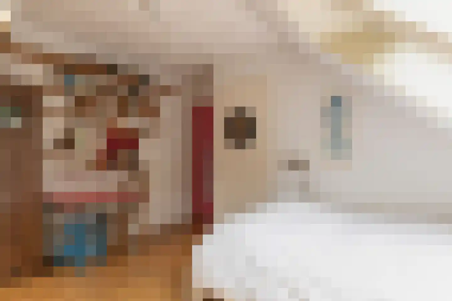 Van Goyenlaan 18 Bilthoven thumbnail 22