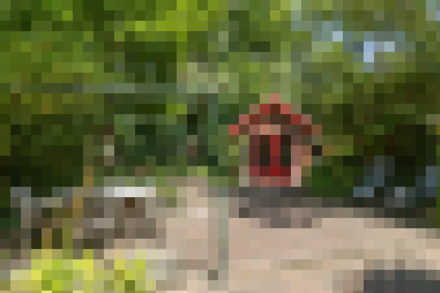 Van Goyenlaan 18 Bilthoven thumbnail 37
