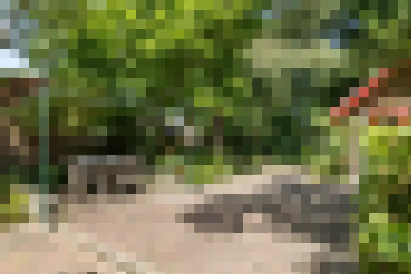 Van Goyenlaan 18 Bilthoven thumbnail 38