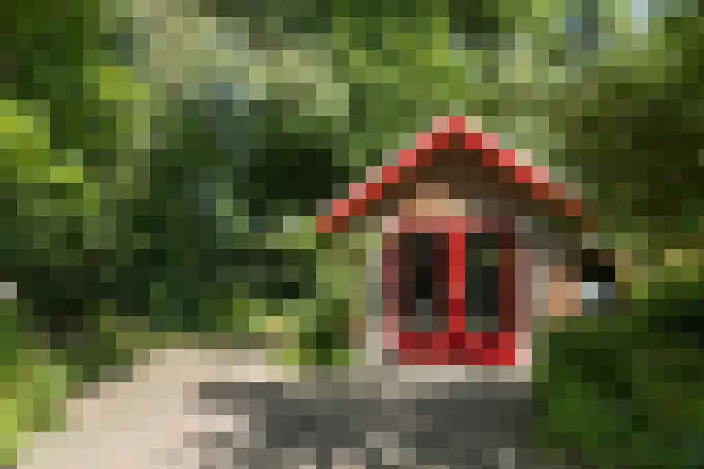 Van Goyenlaan 18 Bilthoven thumbnail 39