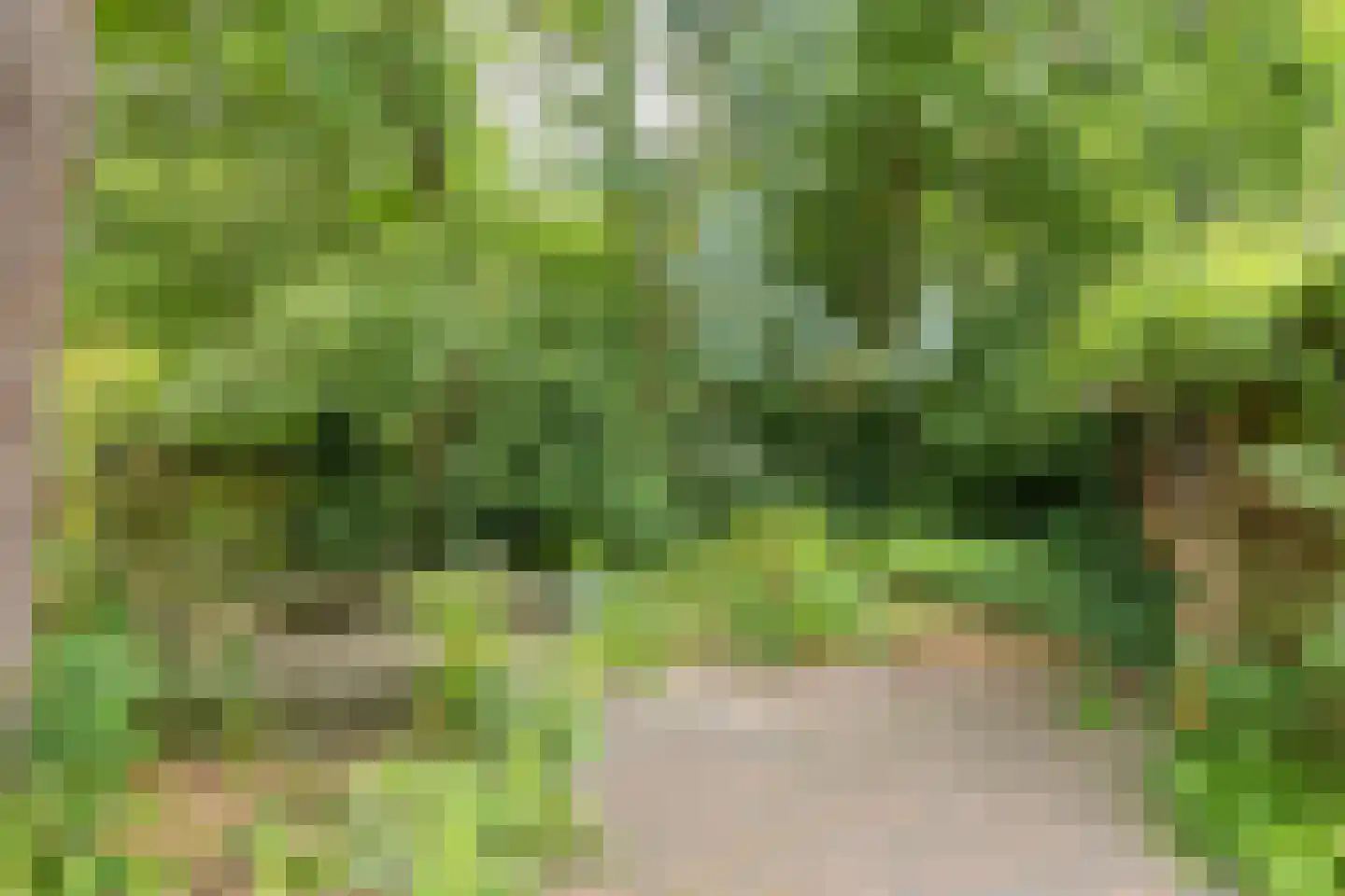 Van Goyenlaan 18 Bilthoven thumbnail 41