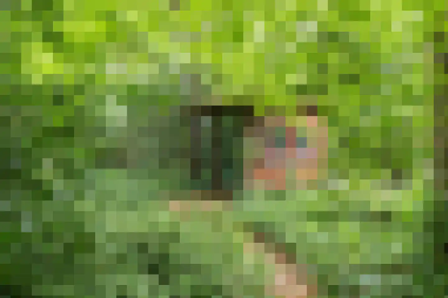 Van Goyenlaan 18 Bilthoven thumbnail 42