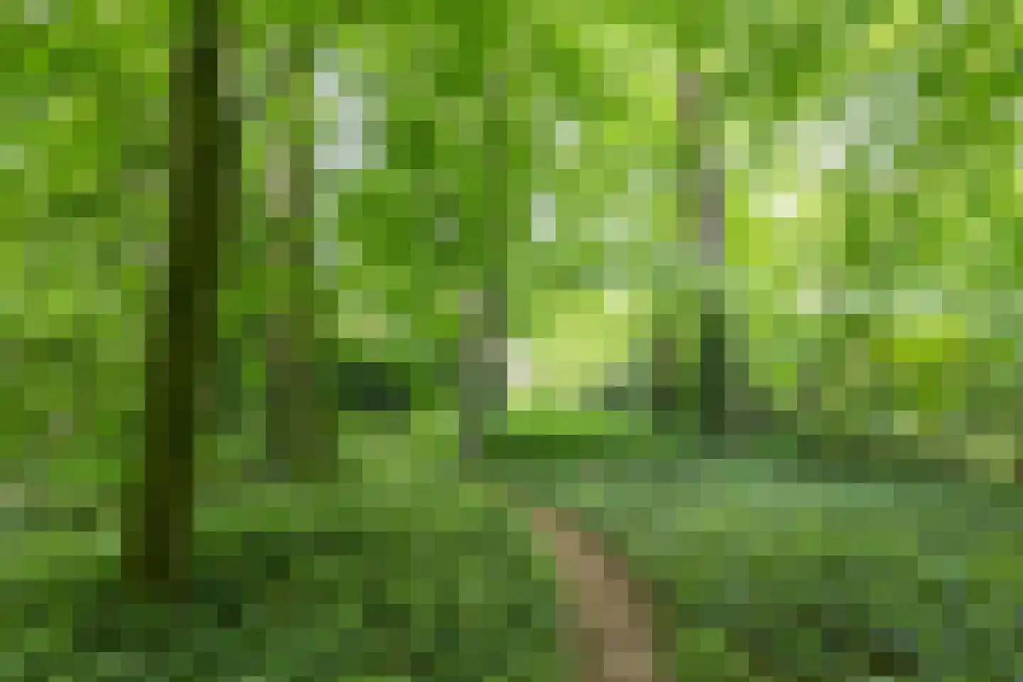 Van Goyenlaan 18 Bilthoven thumbnail 43