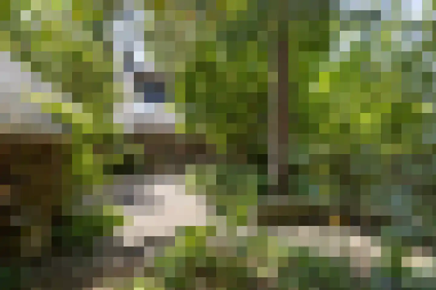 Van Goyenlaan 18 Bilthoven thumbnail 44