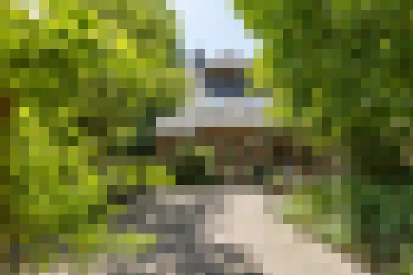 Van Goyenlaan 18 Bilthoven thumbnail 45