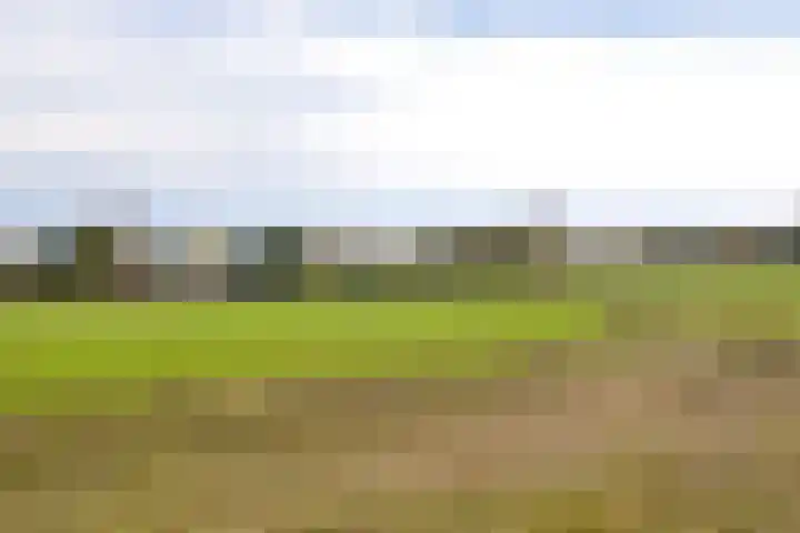 van Goyenlaan 195 Soest thumbnail 21