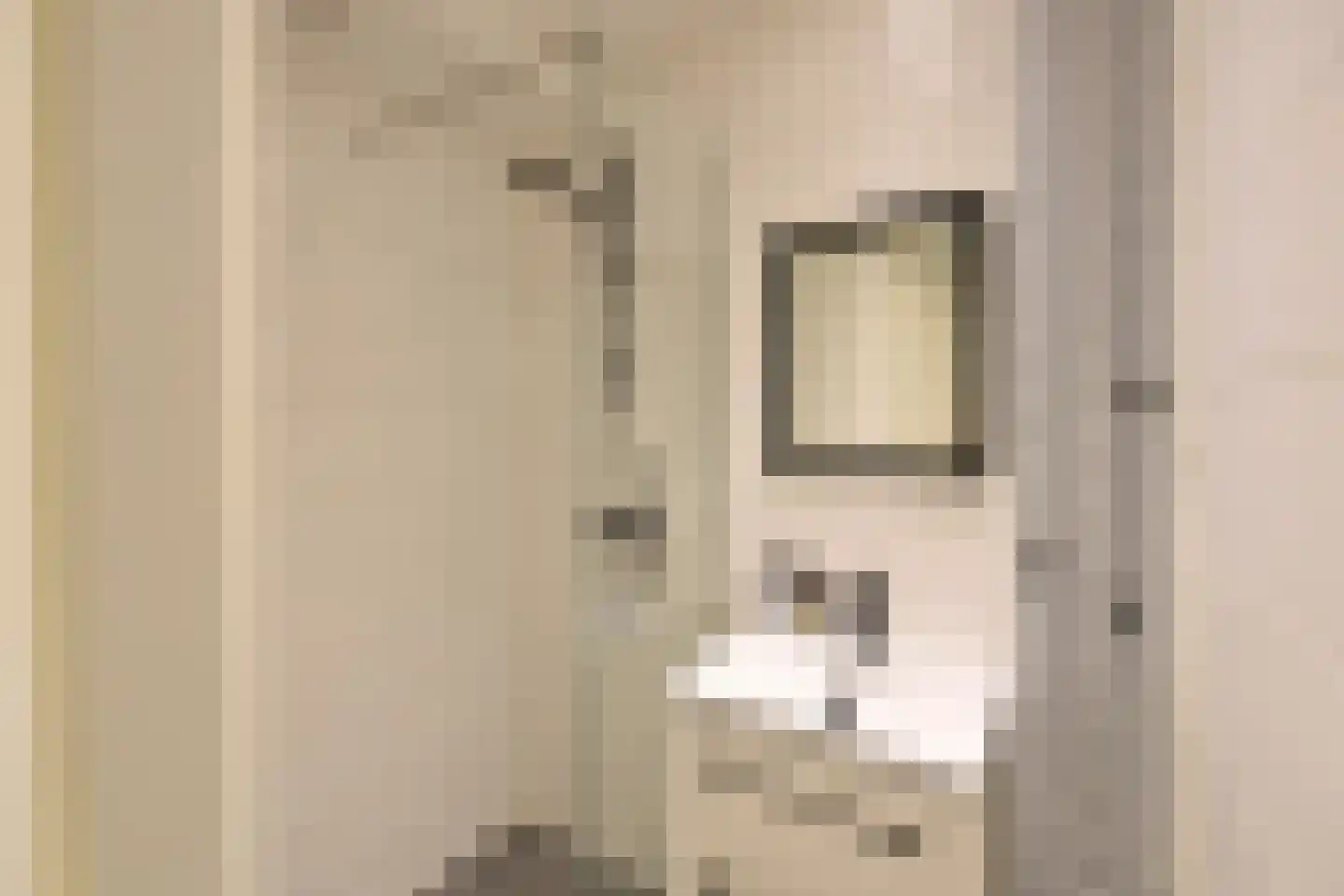 van Goyenlaan 204 Soest thumbnail 12