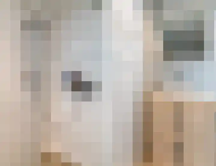 van Goyenlaan 28 Soest thumbnail 16