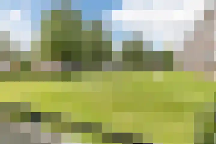 van Goyenlaan 28 Soest thumbnail 20