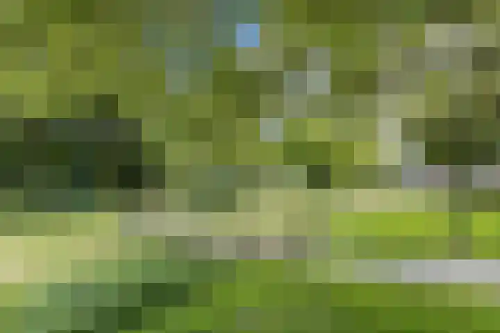 van Goyenlaan 28 Soest thumbnail 28