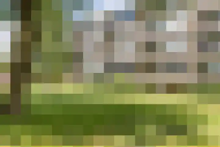 van Goyenlaan 28 Soest thumbnail 29