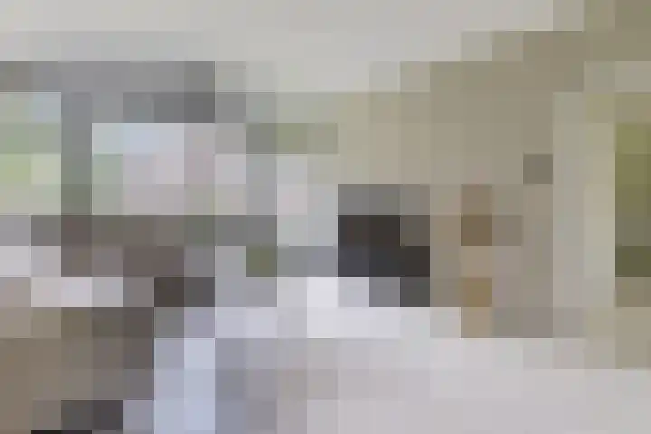 van Goyenlaan 28 Soest thumbnail 6