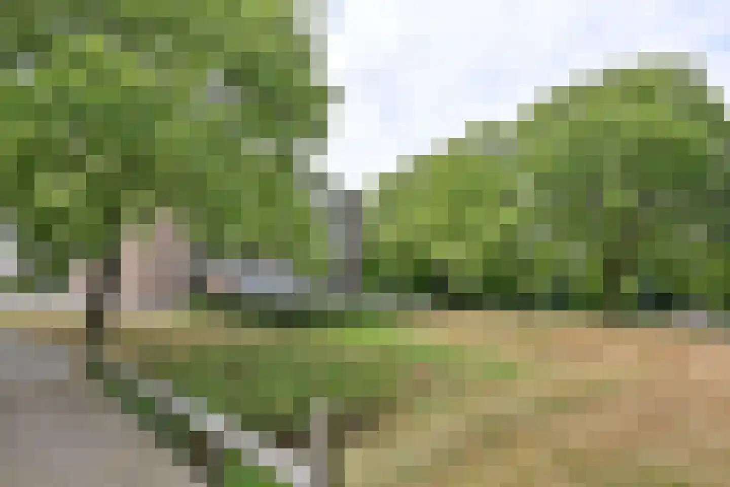 van Goyenlaan 39 Soest foto 2