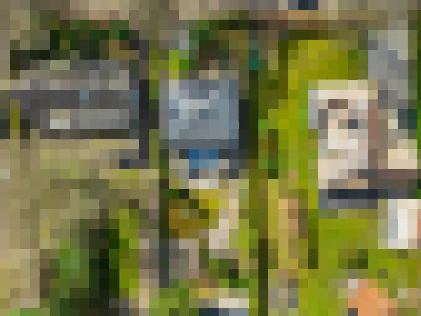 Van Goyenlaan 4 Bilthoven foto 3