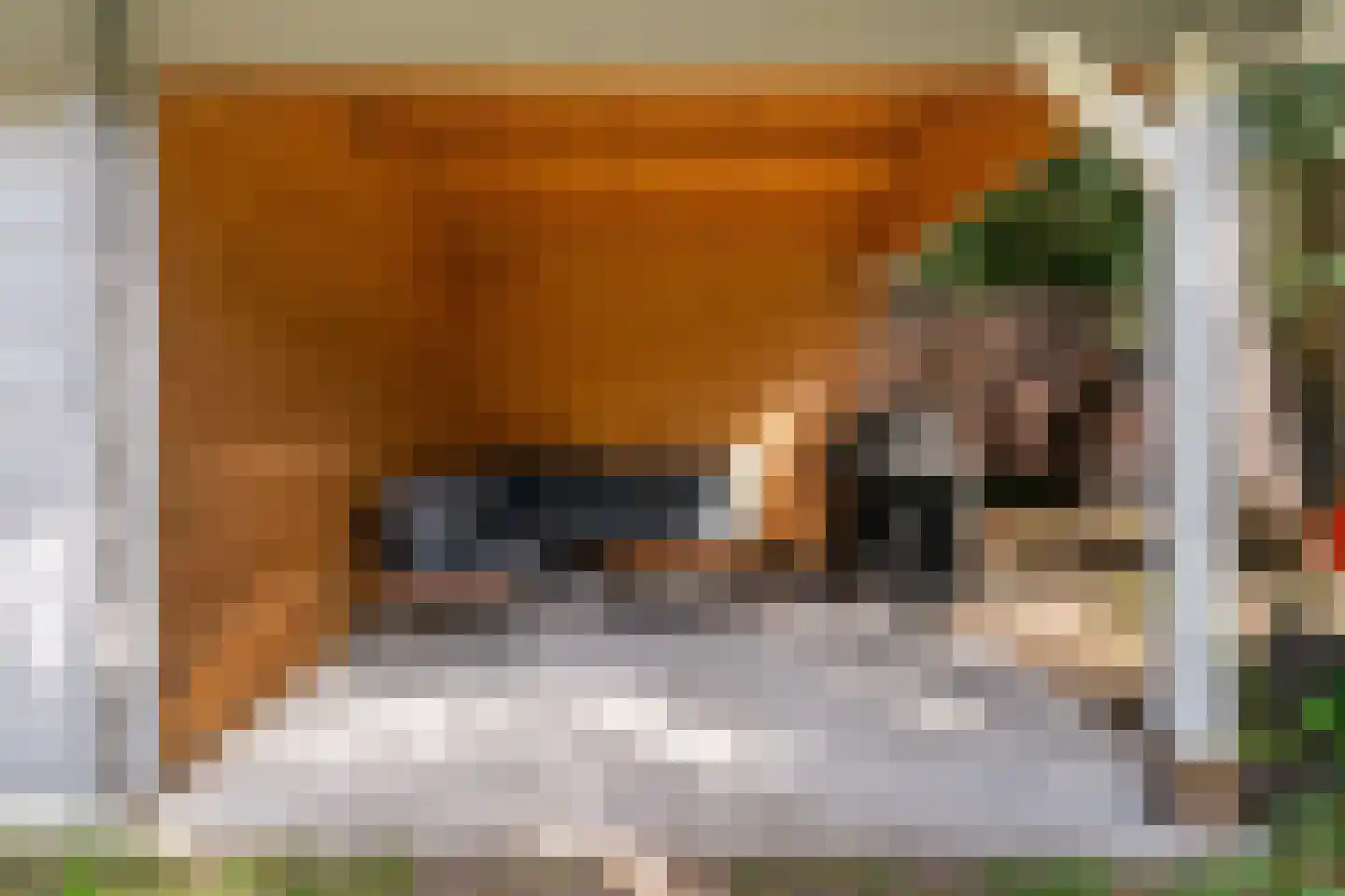 Van Goyenlaan 4 Bilthoven thumbnail 49