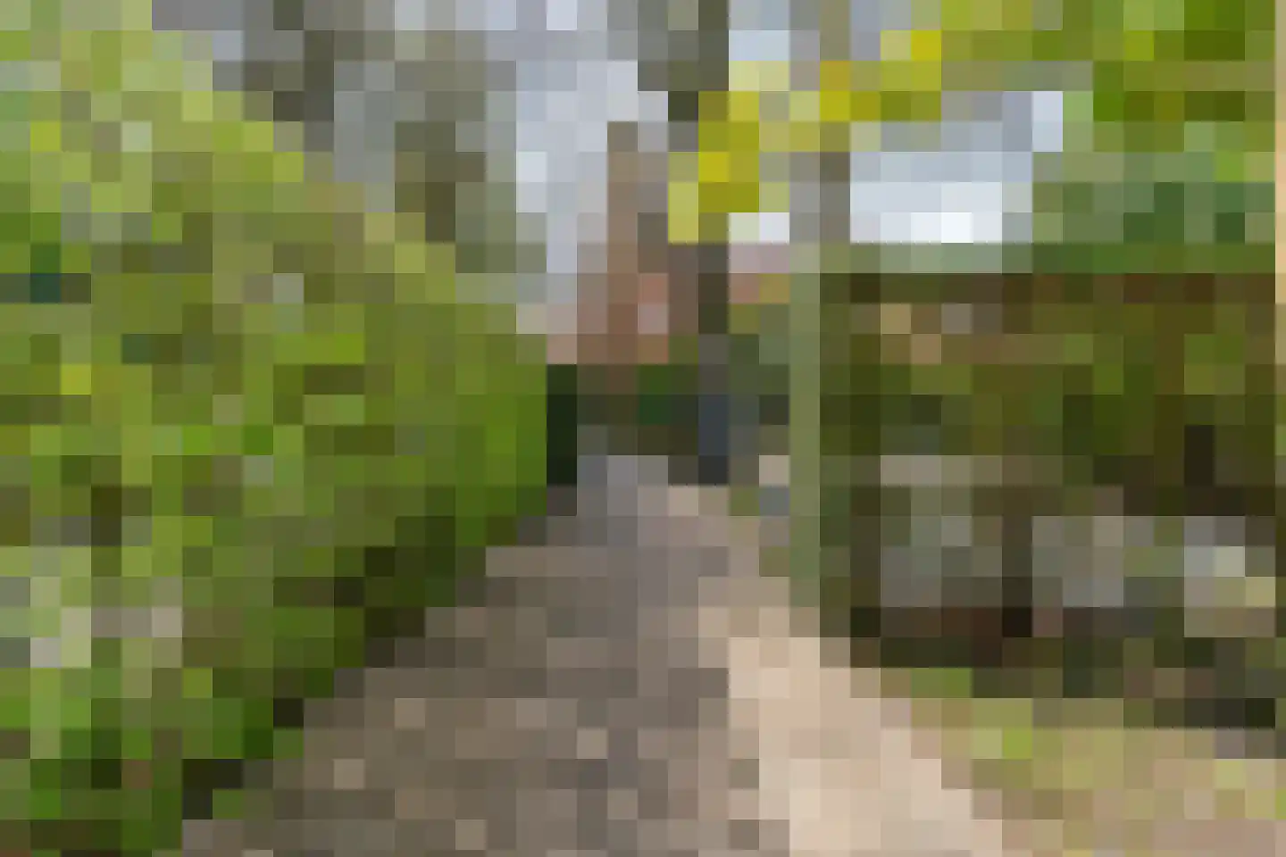 Van Goyenlaan 4 Bilthoven thumbnail 52