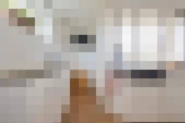 van Goyenlaan 42 Soest thumbnail 14