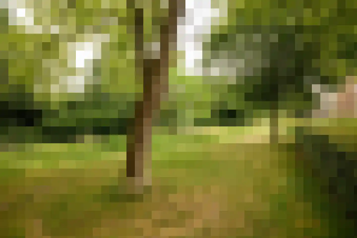 van Goyenlaan 43 Soest thumbnail 31