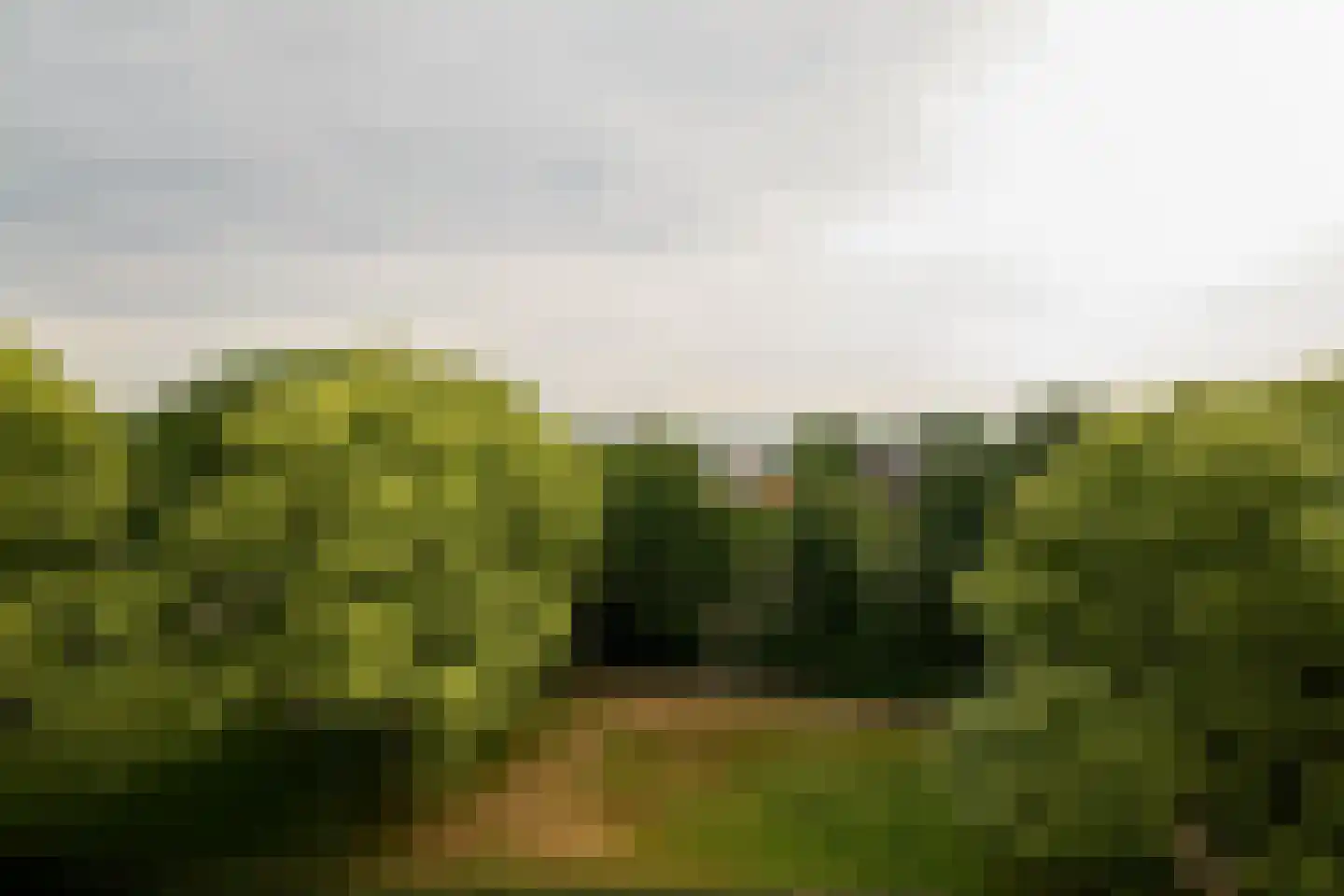 van Goyenlaan 43 Soest thumbnail 32