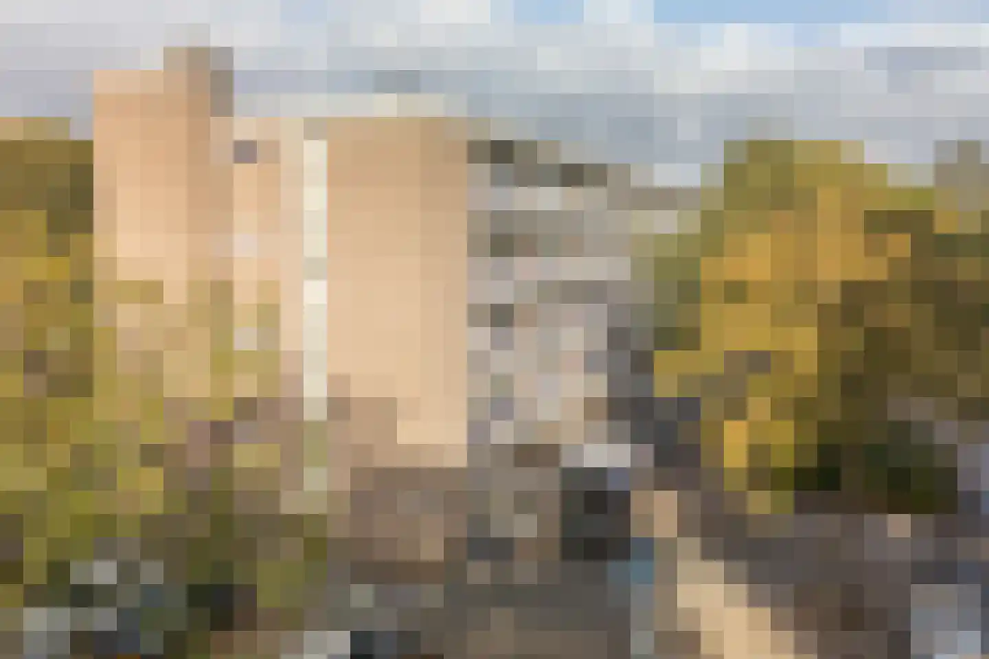 van Goyenlaan 56 Soest thumbnail 22