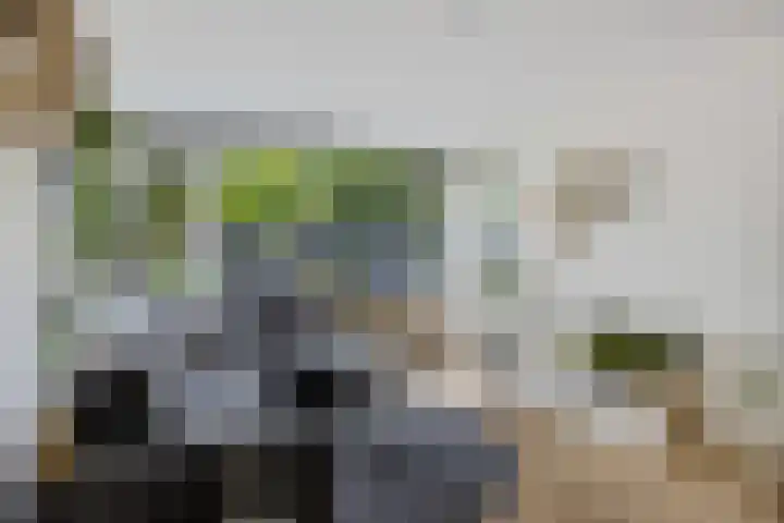 van Goyenlaan 59 Soest thumbnail 11