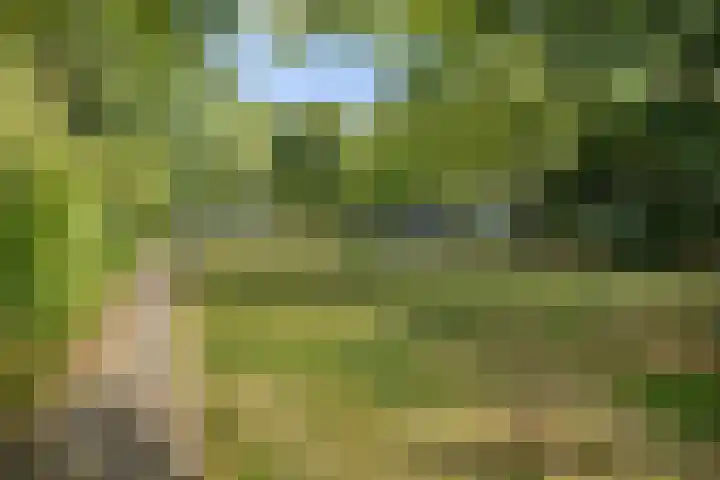van Goyenlaan 59 Soest thumbnail 27