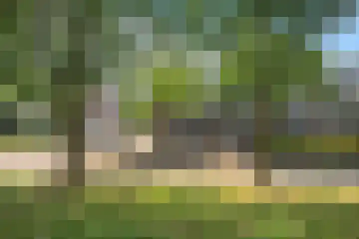 van Goyenlaan 59 Soest thumbnail 29