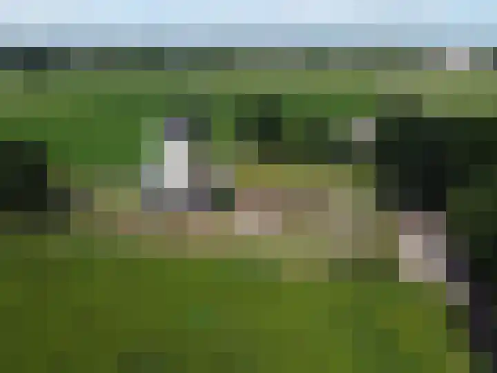 van Goyenlaan 59 Soest thumbnail 31