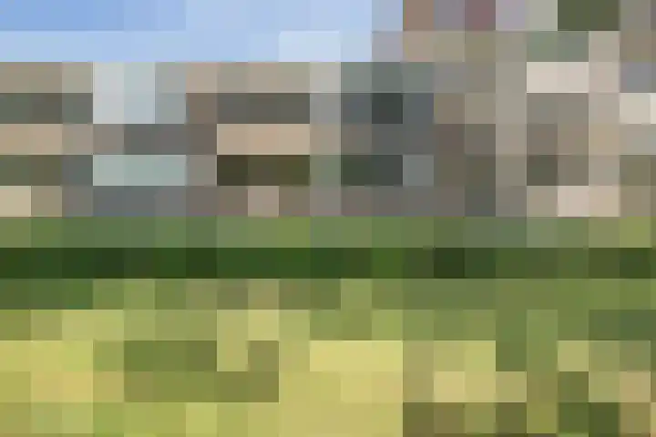 van Goyenlaan 59 Soest thumbnail 34