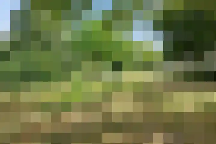 van Goyenlaan 59 Soest thumbnail 5