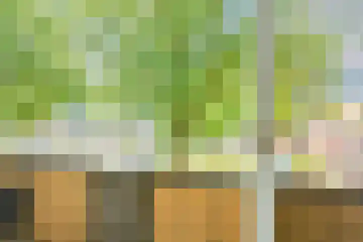 van Goyenlaan 61 Soest thumbnail 31