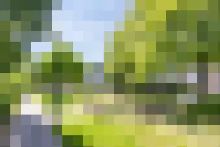 van Goyenlaan 61 Soest thumbnail 40