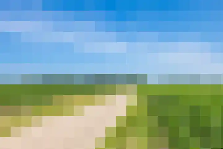 van Goyenlaan 61 Soest thumbnail 41