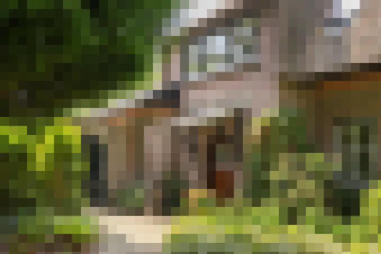 Van Goyenlaan 7 Bilthoven foto 3