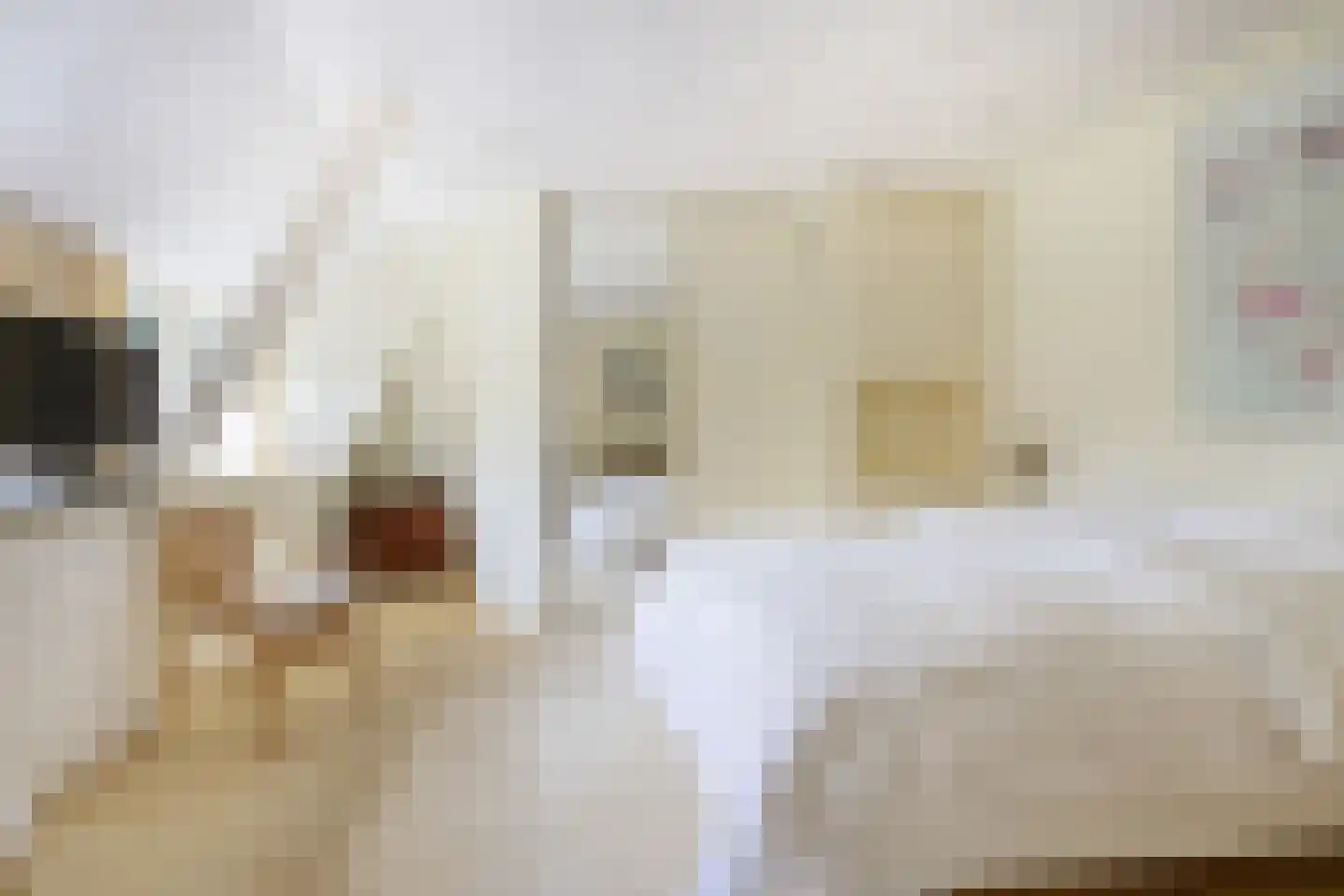 Van Goyenlaan 7 Bilthoven thumbnail 31