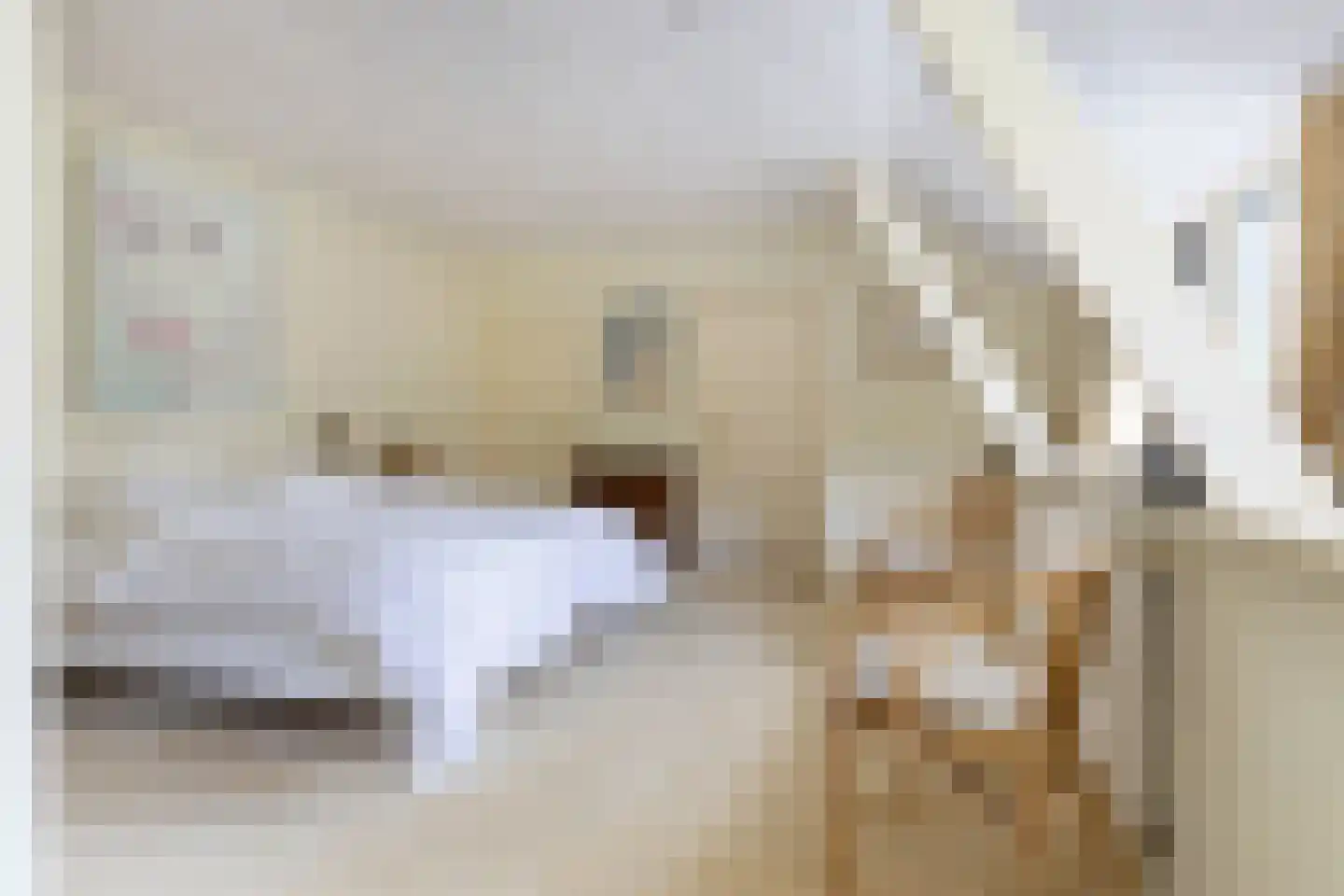 Van Goyenlaan 7 Bilthoven thumbnail 33