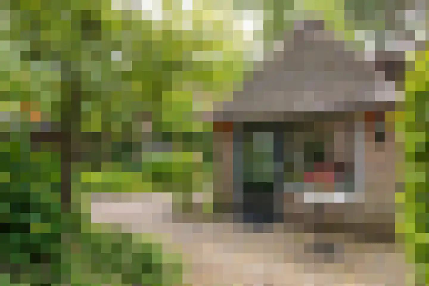 Van Goyenlaan 7 Bilthoven thumbnail 47