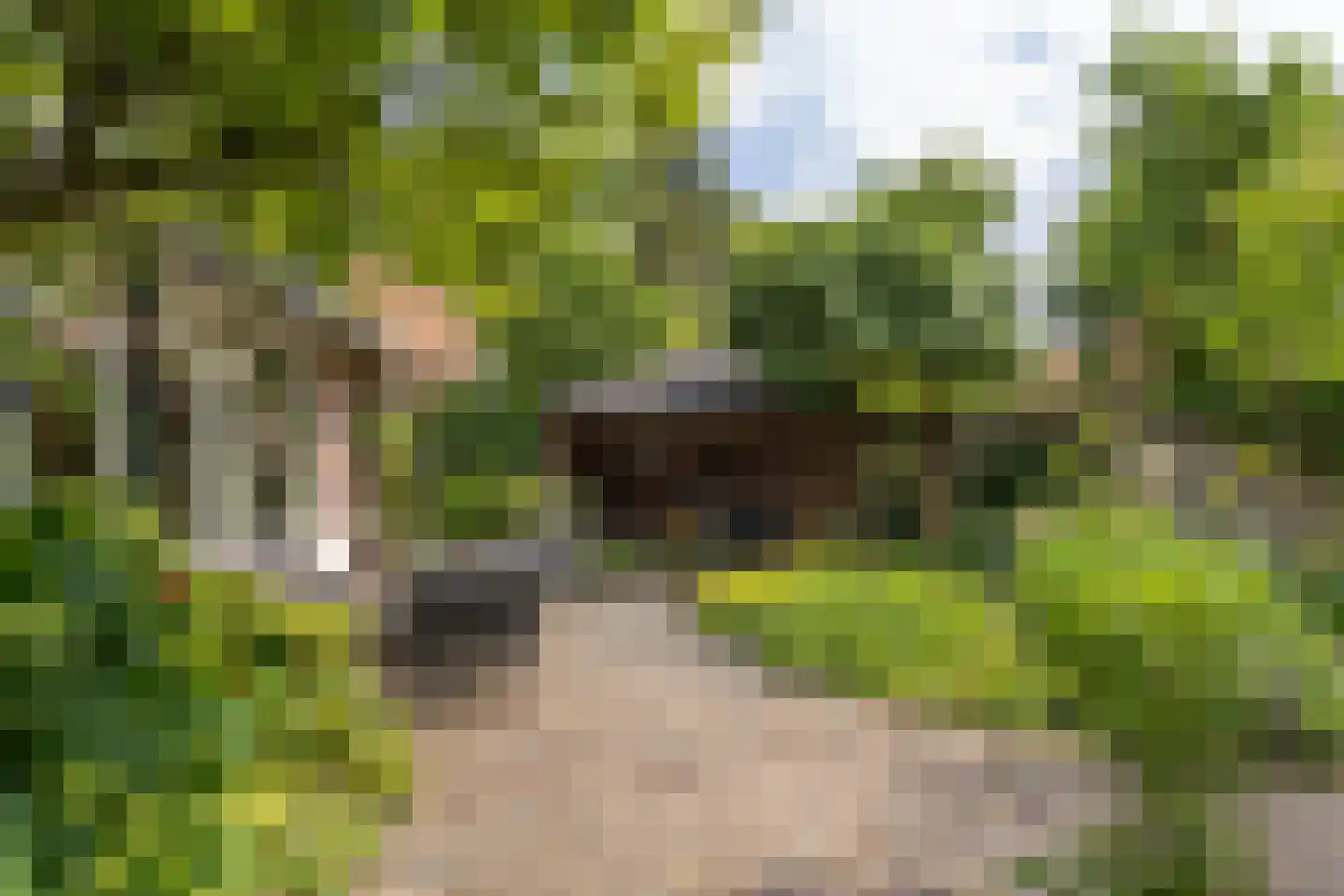 Van Goyenlaan 7 Bilthoven thumbnail 48