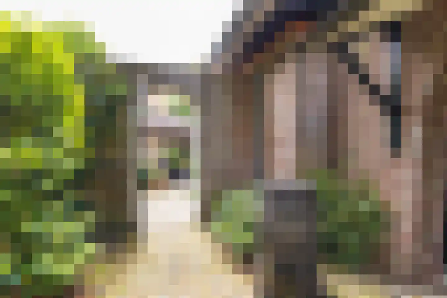 Van Goyenlaan 7 Bilthoven thumbnail 54