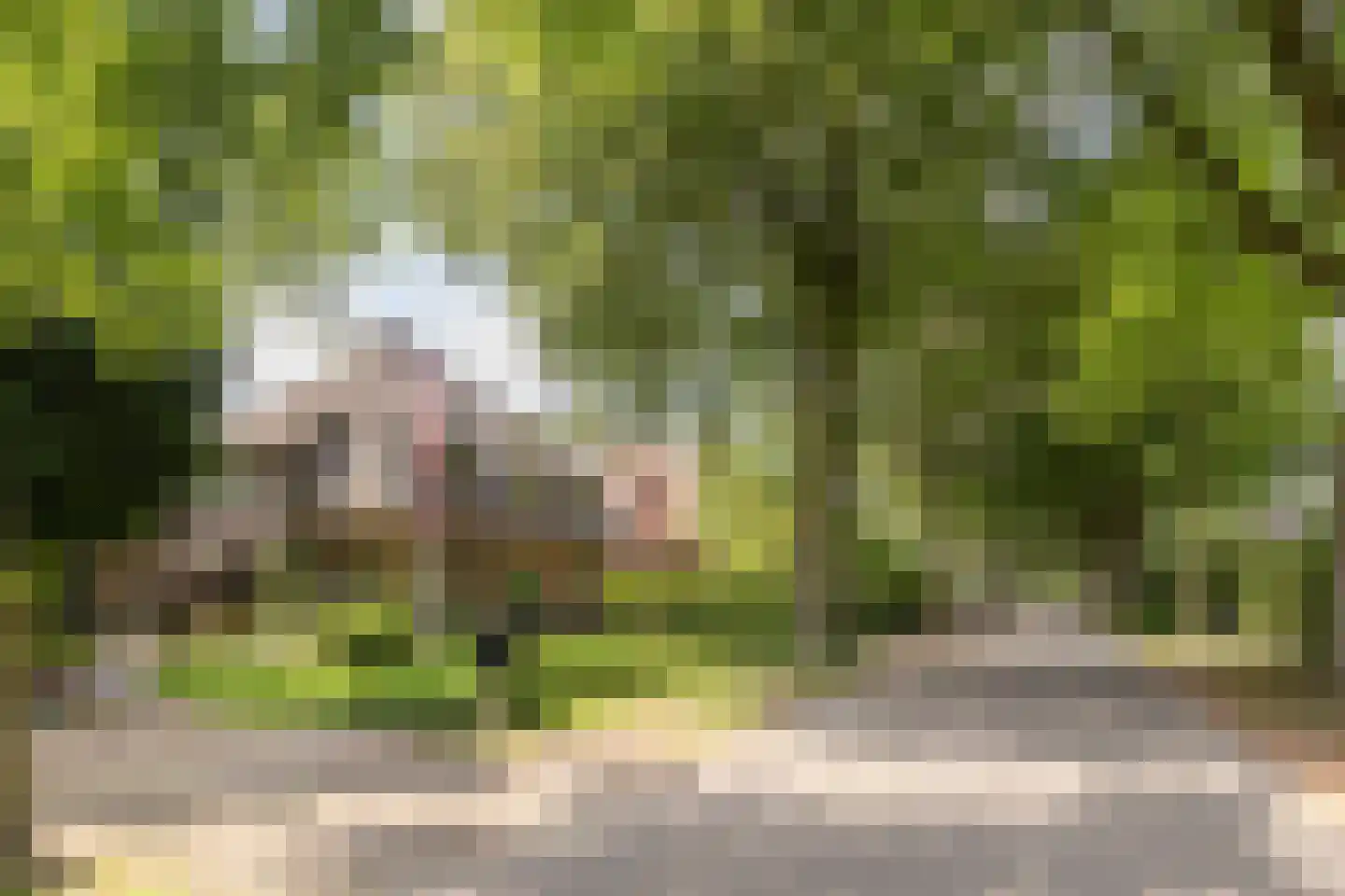 Van Goyenlaan 7 Bilthoven thumbnail 55