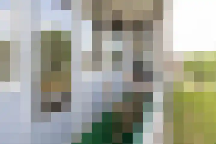 van Goyenlaan 76 Soest thumbnail 15